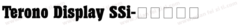 Terono Display SSi字体转换